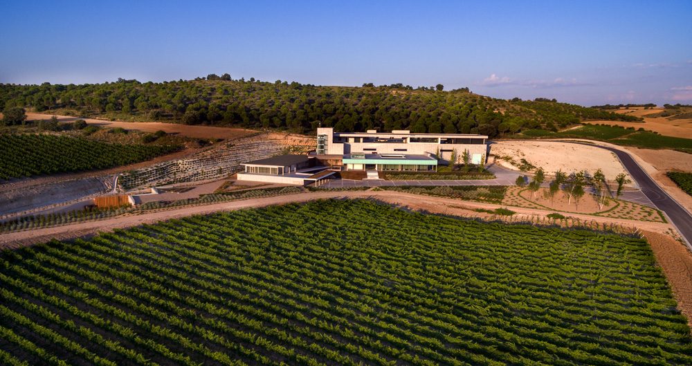 Aalto winery in Ribera del Duero Valladolid Spain