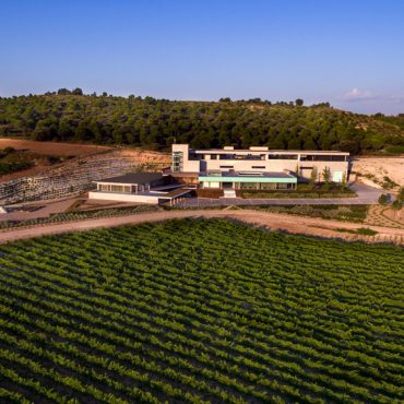 Aalto winery in Ribera del Duero Valladolid Spain