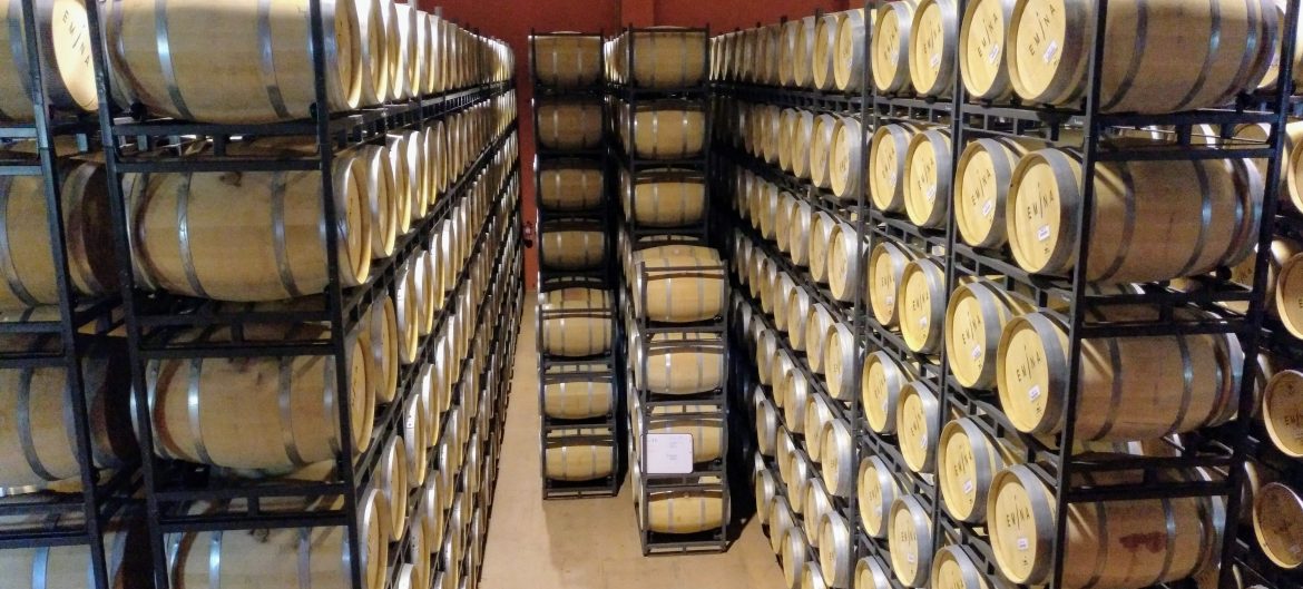 Barrel cellar in Emina Ribera del Duero