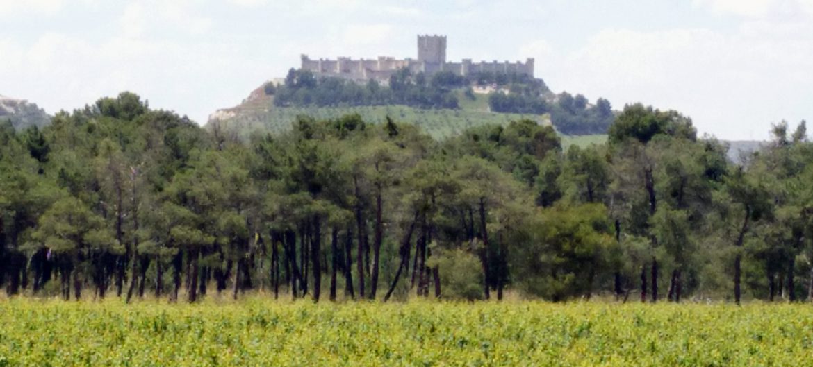 View of Peñafiel from Legaris winery Ribera del Duero