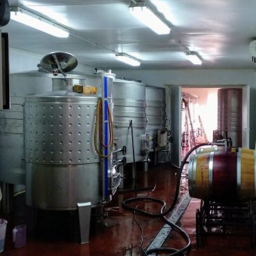 Milenico winery Ribera del Duero