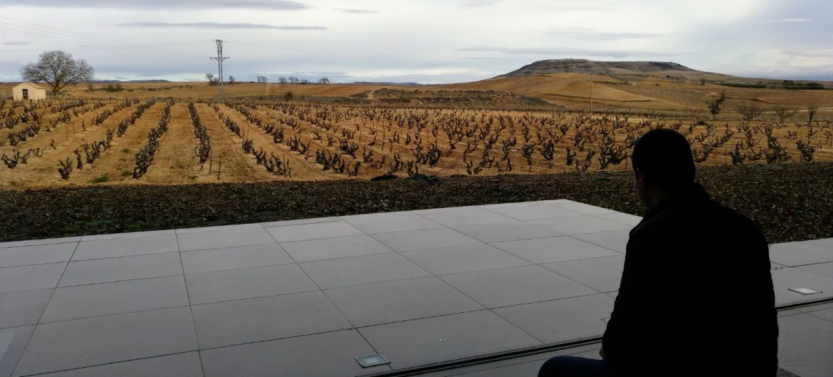 View of the vineyards from Pago de los Capellanes Ribera del Duero