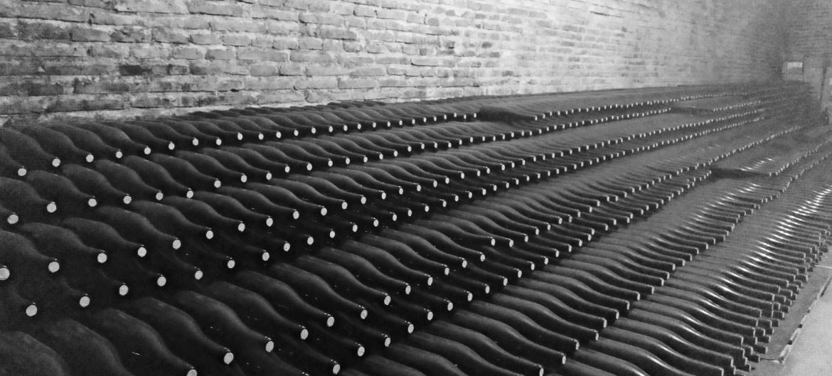 Bottle cellar at Garcearevalo Rueda Castilla Leon Spain