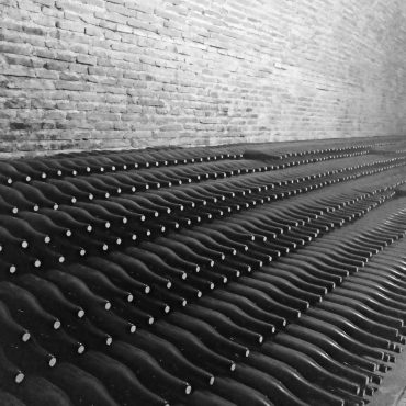 Bottle cellar at Garcearevalo Rueda Castilla Leon Spain