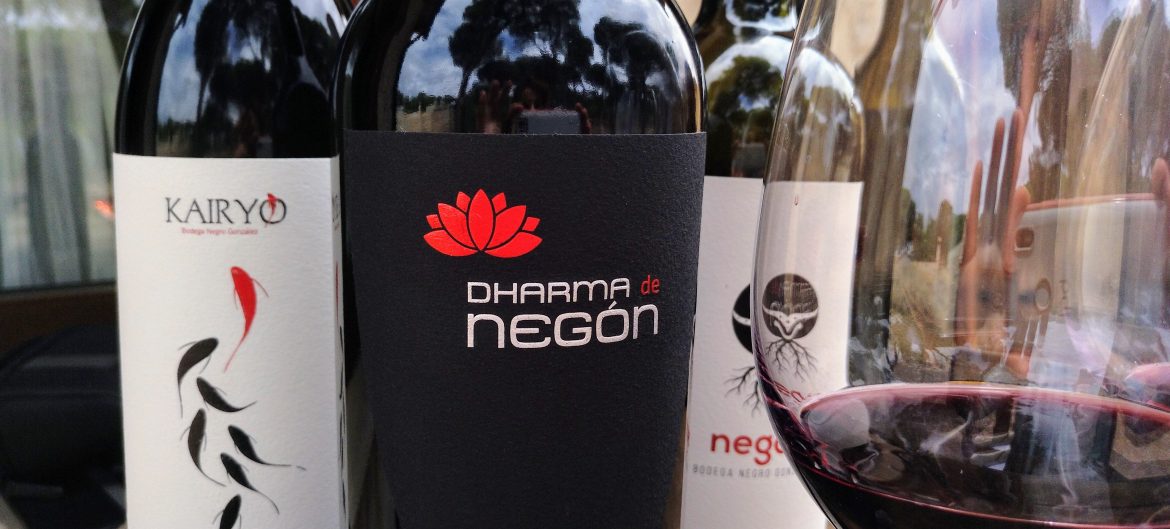 Negon winery biodinamic wines Ribera del Duero
