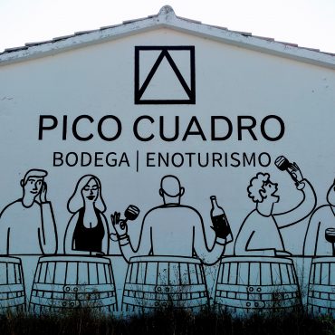 Winetourism invitation in Pico Cuadro Ribera del Duero