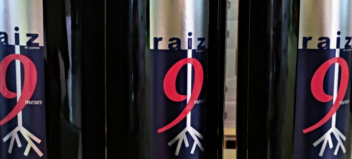 Paramo de Guzmán wine Ribera del Duero